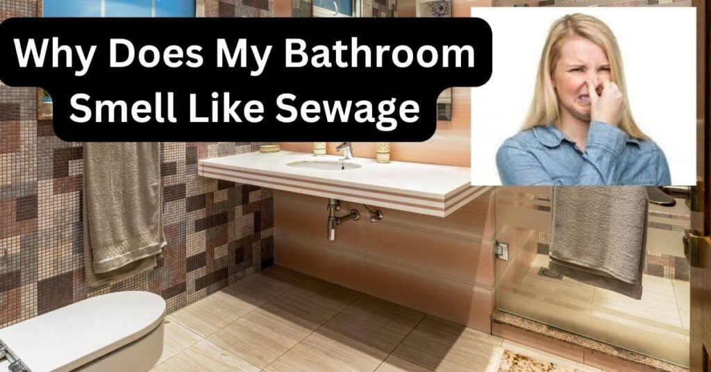 Why Does My Bathroom Smell Like Sewage Home Plumbing Solutions