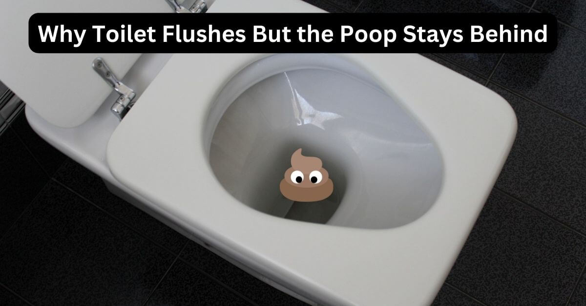 Why Toilet Flushes But Poop Stays Behind Home Plumbing Solutions