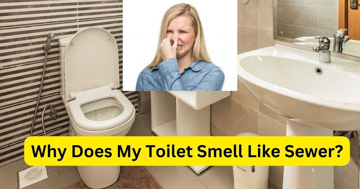 Why Does My Toilet Smell Like Sewer? Home Plumbing Solutions