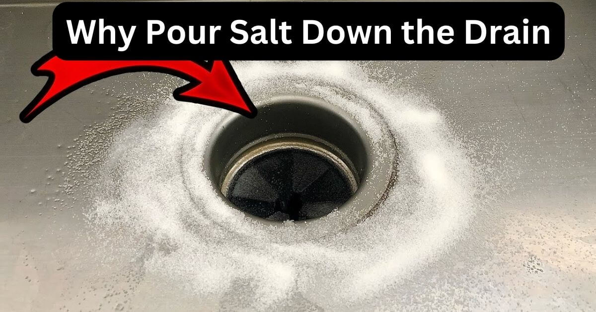 Why Pour Salt Down the Drain Home Plumbing Solutions